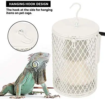 Description: Image result for pet chameleon lamp"